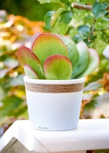 RM Summer Faded Planter Blue